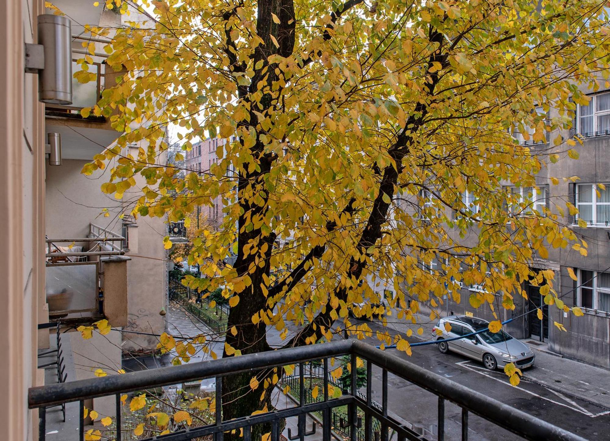 3D Wygoda Apartamenty クラクフ 部屋 写真
